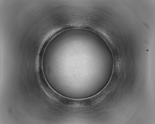 X0000115680678200911121247