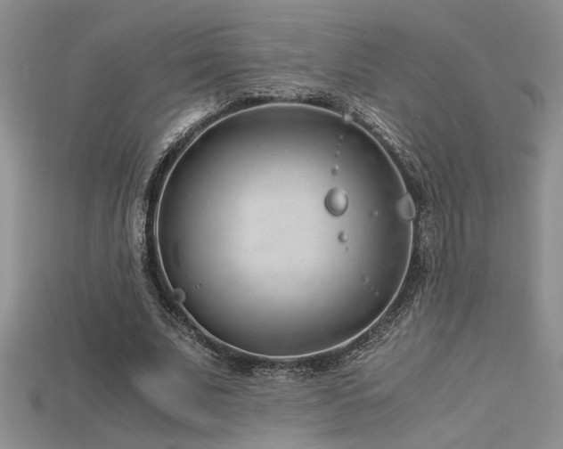 X0000115680679200911121247