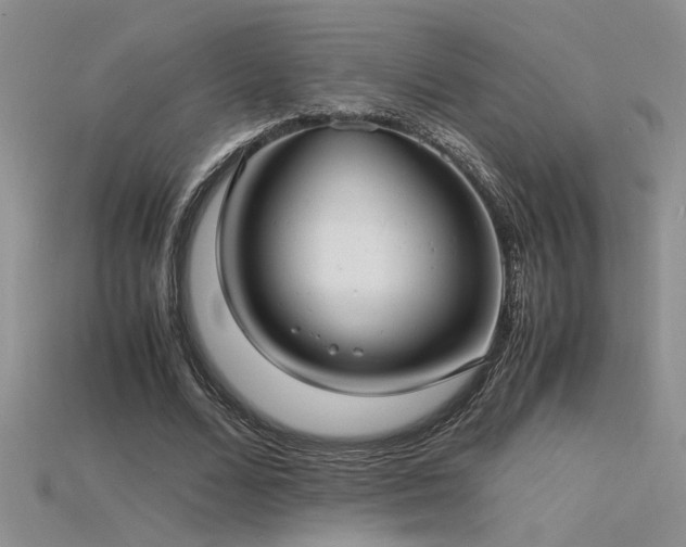 X0000115680680200911121247