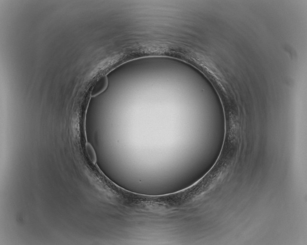 X0000115680681200911121246