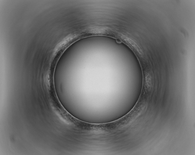 X0000115680682200911121246