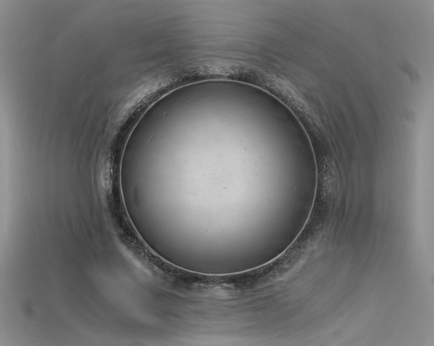 X0000115680683200911121246