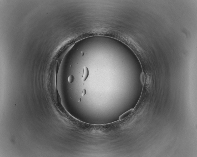 X0000115680684200911121246