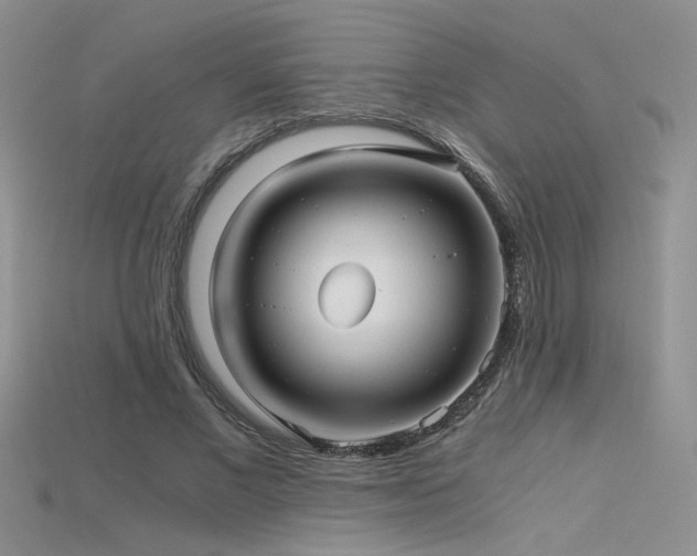 X0000115680685200911121246