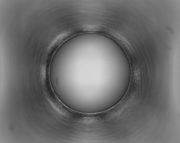 X0000115680686200911121246