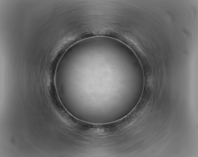 X0000115680687200911121246