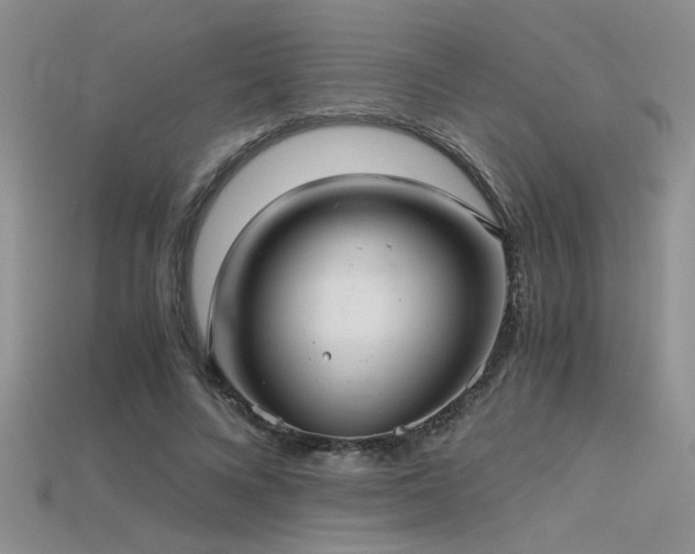 X0000115680688200911121246