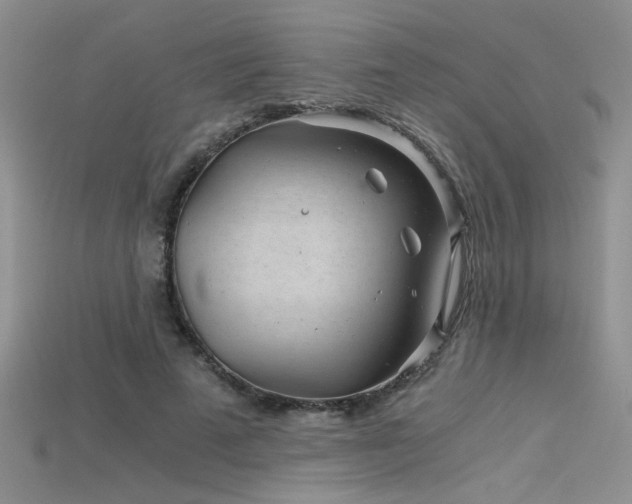 X0000115680689200911121246