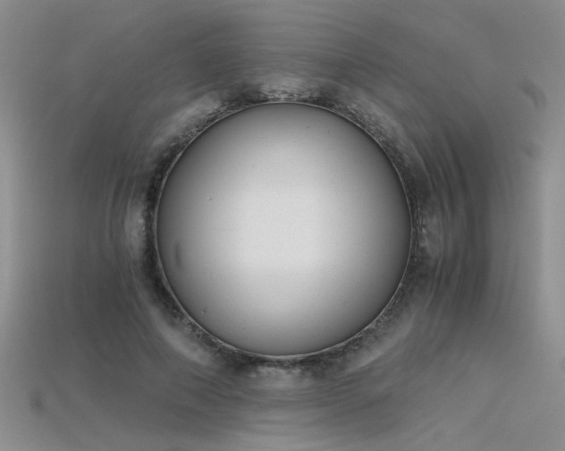 X0000115680690200911121246