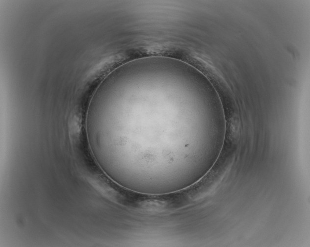 X0000115680691200911121246