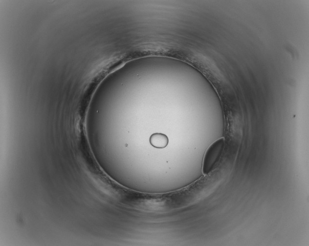 X0000115680692200911121246