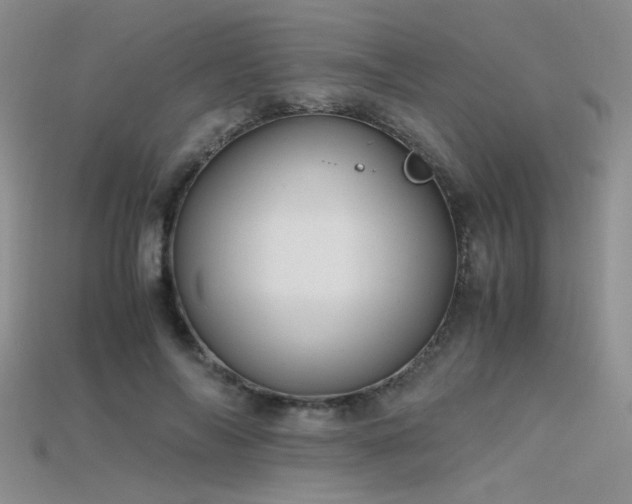 X0000115680694200911121246