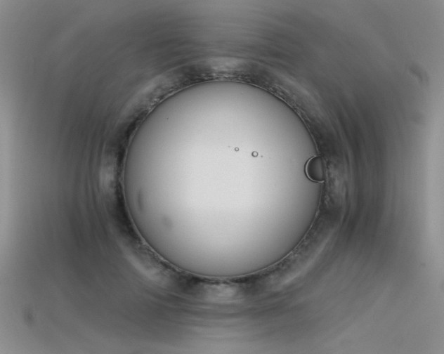 X0000115680698200911121246