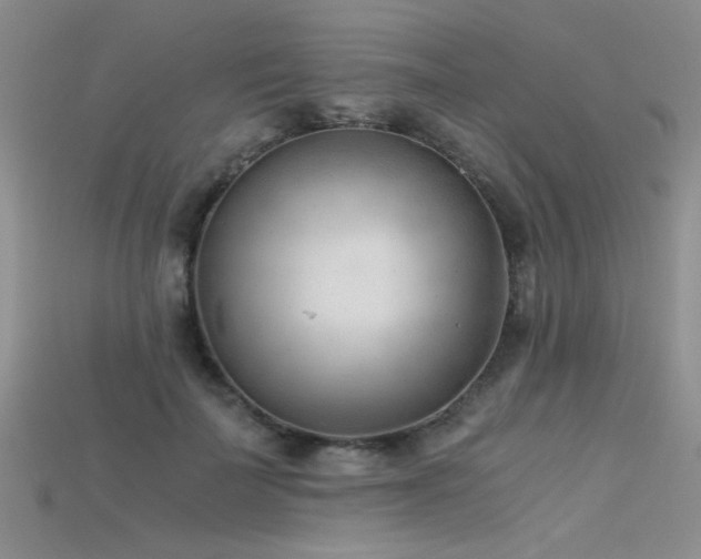 X0000115680699200911121246