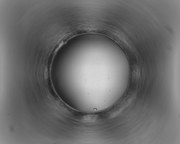 X0000115680700200911121246