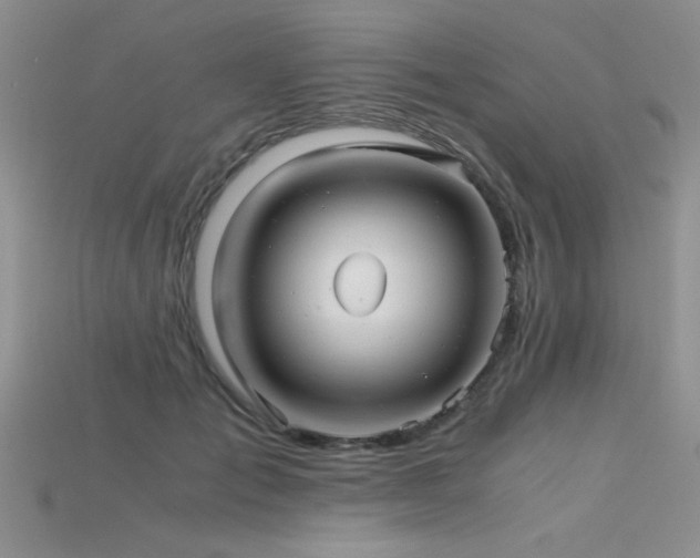 X0000115680701200911121246