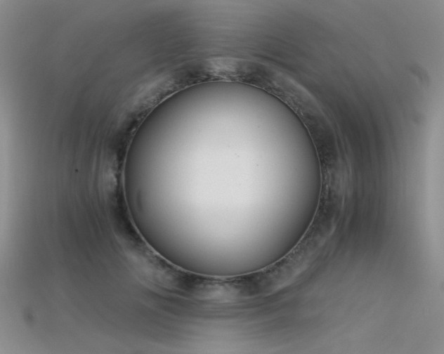 X0000115680702200911121246