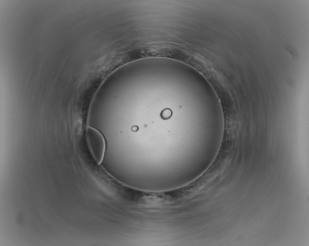 X0000115680703200911121246