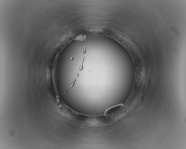 X0000115680704200911121246