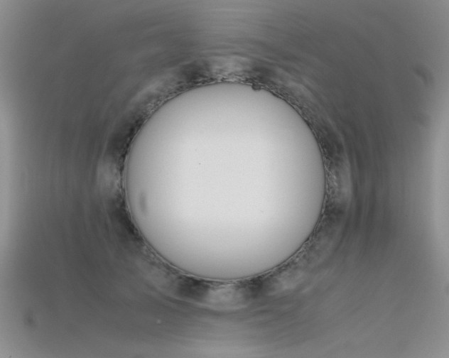 X0000115680705200911121246