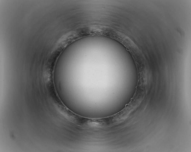 X0000115680706200911121246