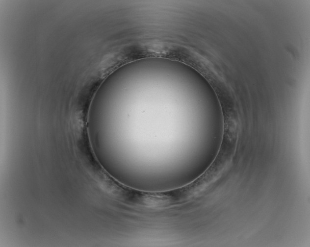 X0000115680707200911121246