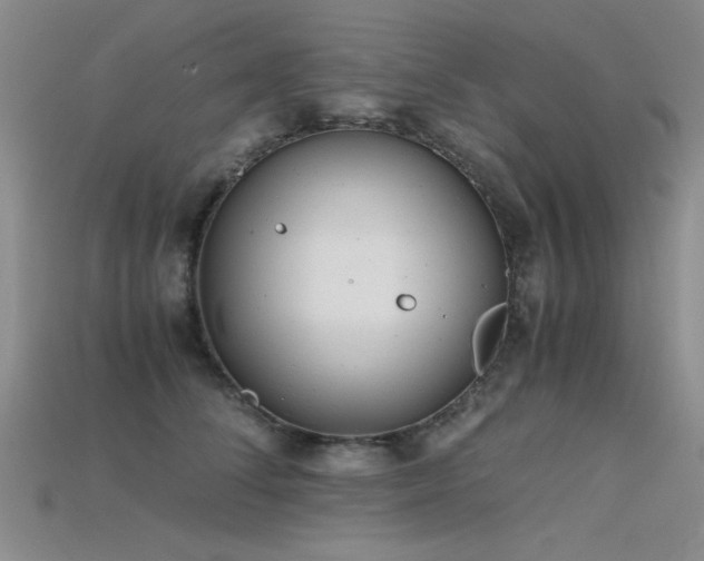 X0000115680708200911121246