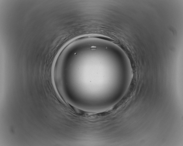 X0000115680709200911121246