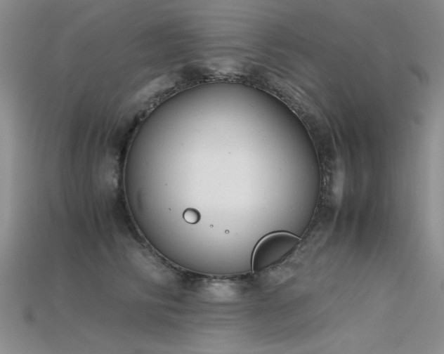 X0000115680710200911121246