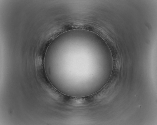 X0000115680711200911121246