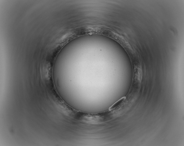 X0000115680712200911121246