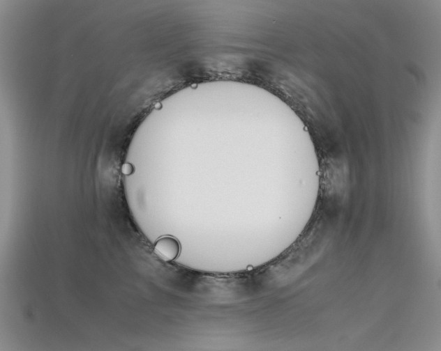 X0000115680713200911121246