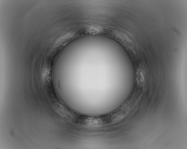 X0000115680714200911121246