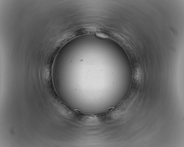 X0000115680715200911121246