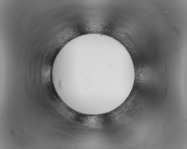 X0000115680717200911121246