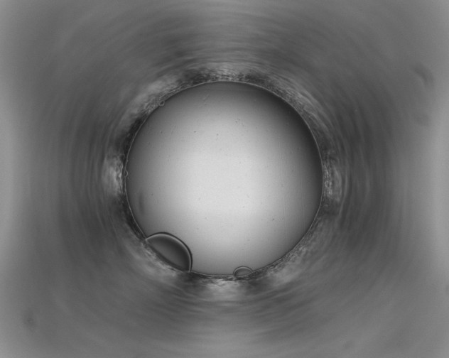 X0000115680718200911121246