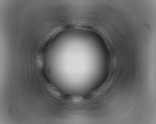 X0000115680719200911121246