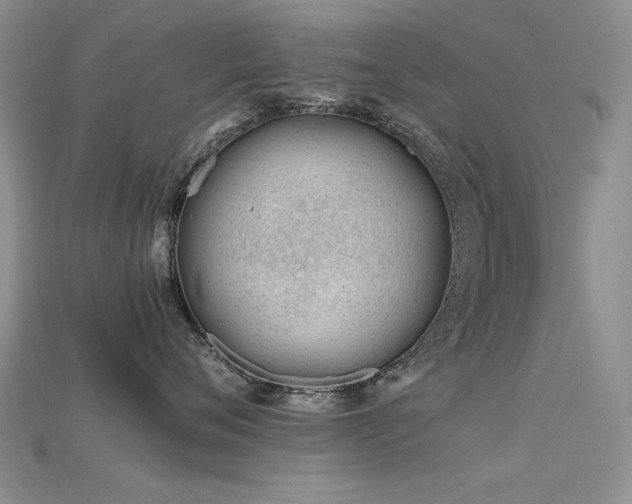 X0000115680720200911121246