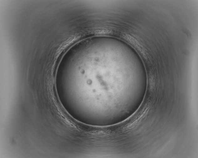 X0000115680721200911121245