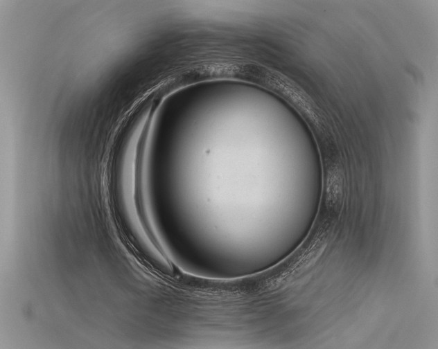 X0000115680722200911121245