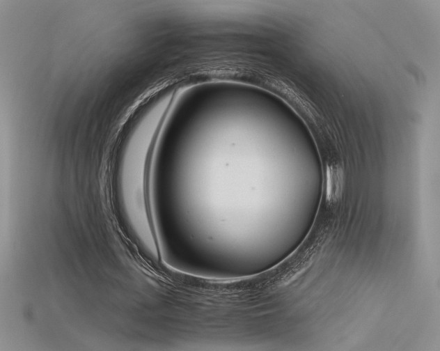 X0000115680723200911121245