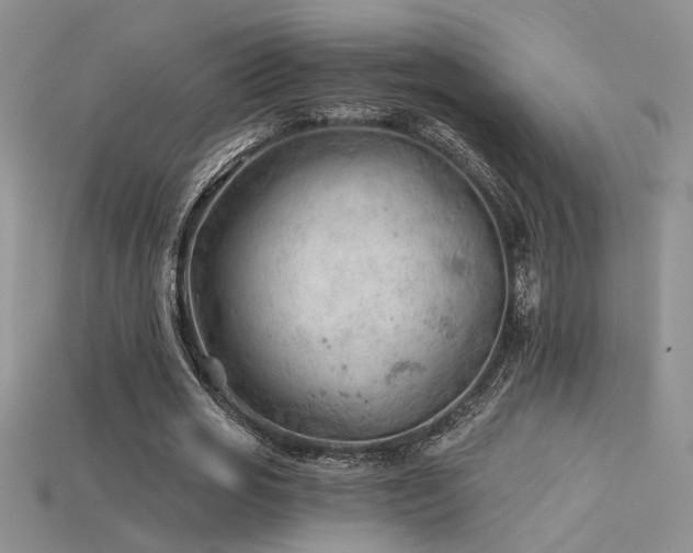 X0000115680725200911121245