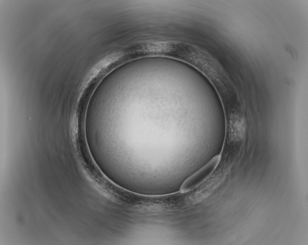 X0000115680726200911121245