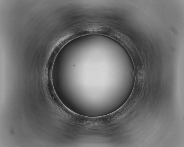 X0000115680727200911121245