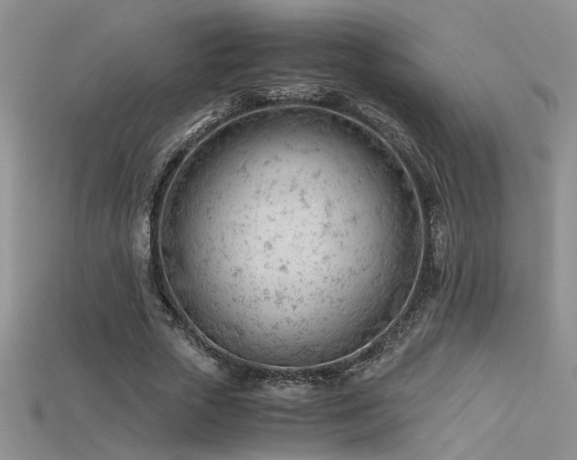 X0000115680729200911121245