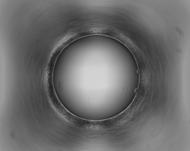 X0000115680730200911121245