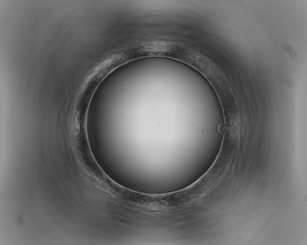 X0000115680731200911121245