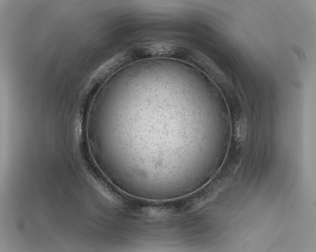 X0000115680733200911121245