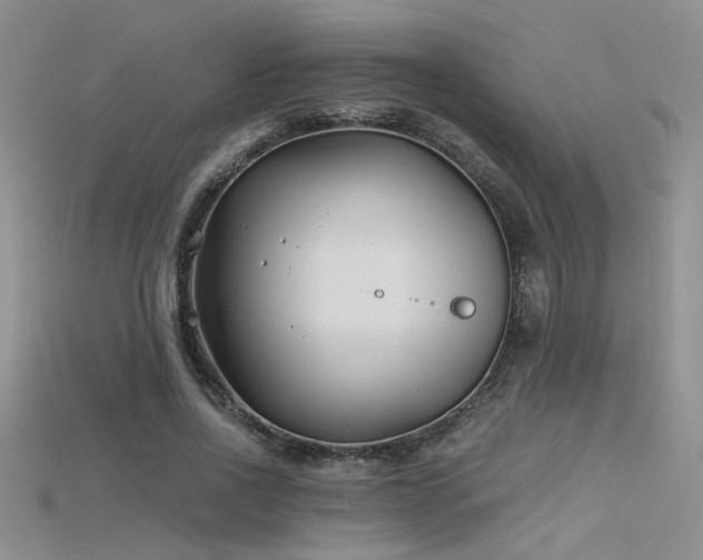 X0000115680734200911121245