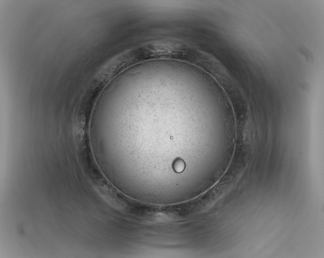 X0000115680737200911121245